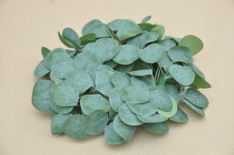 CV32840 WIANEK EUKALIPTUS OMSZONY 30 CM