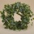 BL00632 WIANEK BLUSZCZ HEDERA WOSKOW 35CM OP.3SZT