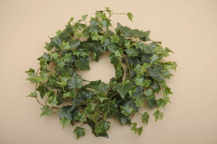 BL00632 WIANEK BLUSZCZ HEDERA WOSKOW 35CM OP.3SZT